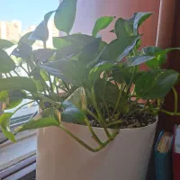 استخدام نیروی بازاریابی و بازرگانی