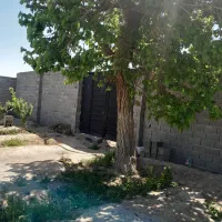 فروش-باغچه-500-و-1000-متری
