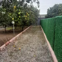 ۱۵۰۰ متر ویلا باغ ساحلی|فروش خانه و ویلا|رضوانشهر, |دیوار