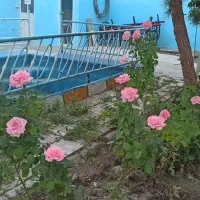 کمپ ترک اعتیاد امید رهایی آقایان(اجباری..تمایلی)