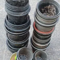 تعدادی گلدان کارکرده سالم|گل و گیاه طبیعی|رودسر, |دیوار