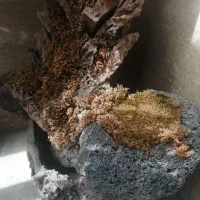 آبنما صخره ای با پمپ