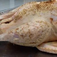 بوقلمون محلی|خوردنی و آشامیدنی|آمل, |دیوار