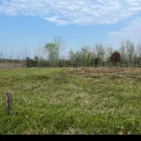 زمین باغی به متراژ ۵۰۰متر|فروش زمین و ملک کلنگی|املش, |دیوار