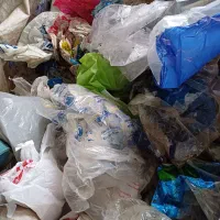 نیروخانم برای کارگاه تفکیک پلاستیک در ماسال|استخدام صنعتی، فنی، مهندسی|رضوانشهر, |دیوار
