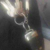 پیدا شده