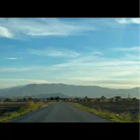اجاره زمین کشاورزی