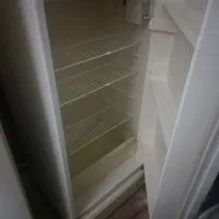 دوعدد یخجال معمول فلور ایران پویا