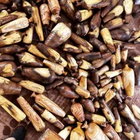 نیروی  کپی تراش و آشنایی با نجاری