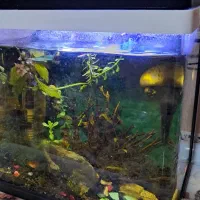 فروش اکواریوم کوچیک