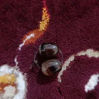 پیام بدین|کلکسیون و سرگرمی|بندر ماهشهر, |دیوار