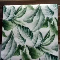 نقاش ساختمانی نصاب کاغذدیواری و کنیتکس نما|خدمات پیشه و مهارت|نوشهر, |دیوار