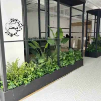 کاج مطبق*ایده برتر گل آرایی*برگ انجیری ابلق