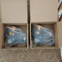 ۲ عدد چرخ ماهیگیری (آکبند)