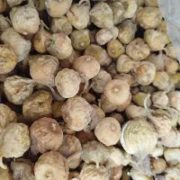 ارزانکده خشکبار