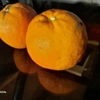 نارنج تازه چین