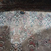 فرش 6متری فروش فوری|فرش|بومهن, |دیوار