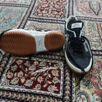 کفش تایگر اورجینال اصل سایز 41|کیف، کفش، کمربند|گنبد کاووس, |دیوار