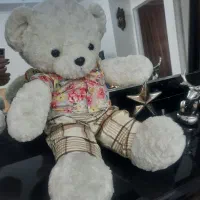 عروسک خرسی دوقلوها|اسباببازی بچه|تهران, زنجان جنوبی|دیوار