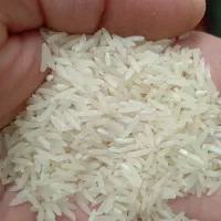 برنج درشت و نیم دانه فجر گرگان|خوردنی و آشامیدنی|تهران, قصر فیروزه ۲|دیوار