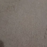 موکت 25متر رنگ شکلاتی