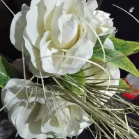 ۵شاخه گل رز بزرگ سالم