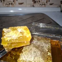 فروش عسل منطقه پادنا (پای کوه دنا)|خوردنی و آشامیدنی|سمیرم, |دیوار