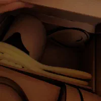 تعدادی چوب خام