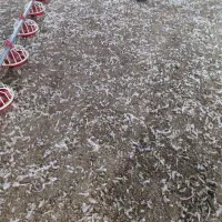 کود مرغی|خدمات باغبانی و درختکاری|میناب, |دیوار