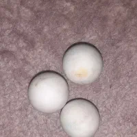 سنگ الماس سختی ۱۰