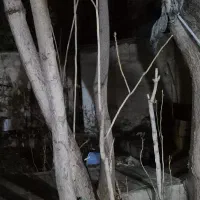 زمین اتشگاه