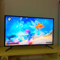 تلویزیون۴۰ اینج سامسونگ کم کارکرد باکارتون