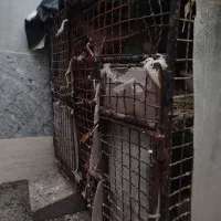 جفتگاه فروشی