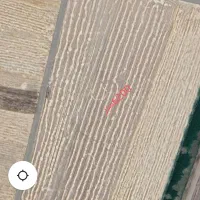 فروش زمین کشاورزی|فروش زمین و ملک کلنگی|نهاوند, |دیوار