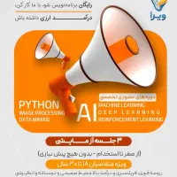 برنامه نویسی از صفر تا درآمد دلاری ،تضمین همکاری