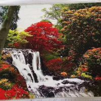 تابلو فرش چهره