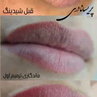 شیدینگ لب به متدجدیددارک لیپس