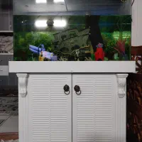 اکواریوم منحفنی