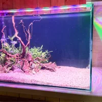 شیشه آکواریوم ریملس|ماهی|رشت, نامجو|دیوار