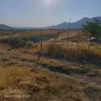 زمین رزجرد منطقه پسارو