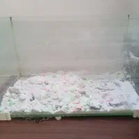 آکواریوم