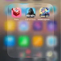 سرور مخصوص بازی