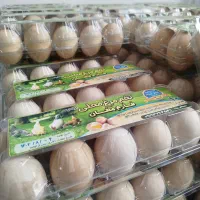 تخم مرغ محلی|خوردنی و آشامیدنی|پارسآباد, |دیوار