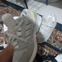zx استری شیری