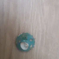 چشم نظر  رزین