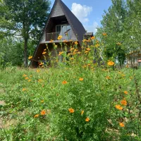 خونه باغی بابیجاری واستخر ماهی حریم فنس کشی شده