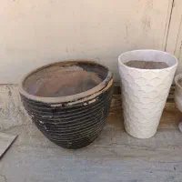گلدان سفالی فروش معاوضه اکواریوم بلدرچین گل