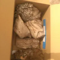 انواع کالباسی وچوب وجوش برای کارهای هنری ورزین|صنایع دستی و سایر لوازم تزئینی|کرمان, |دیوار