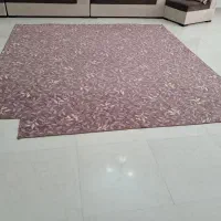 پالاز موکت|موکت|کرمانشاه, |دیوار