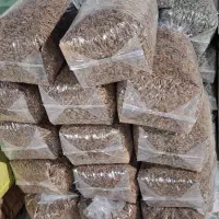 تولیدوپخش تخمه خام تفت داد تناژ|عمدهفروشی|مشهد, مهدی آباد|دیوار